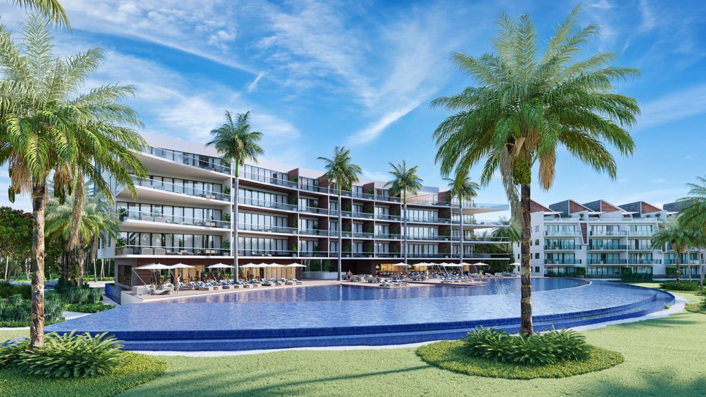 Read more about the article Palmera